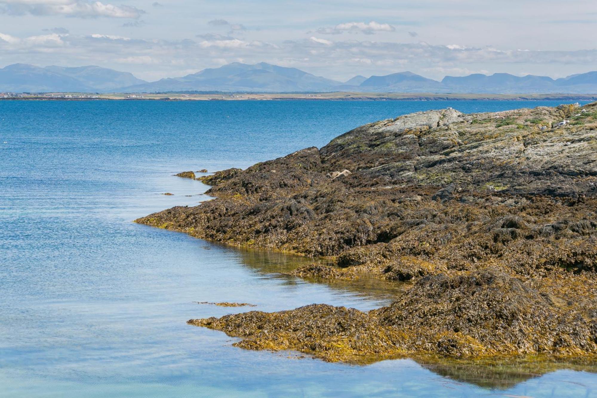 Rhoscolyn Pen Y Graigヴィラ エクステリア 写真